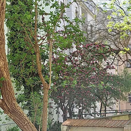 Apartamento Na Kozacce 6 *